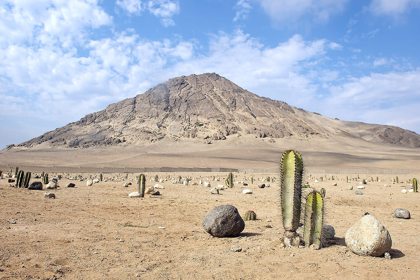The desert landscape of Trujillo, Peru