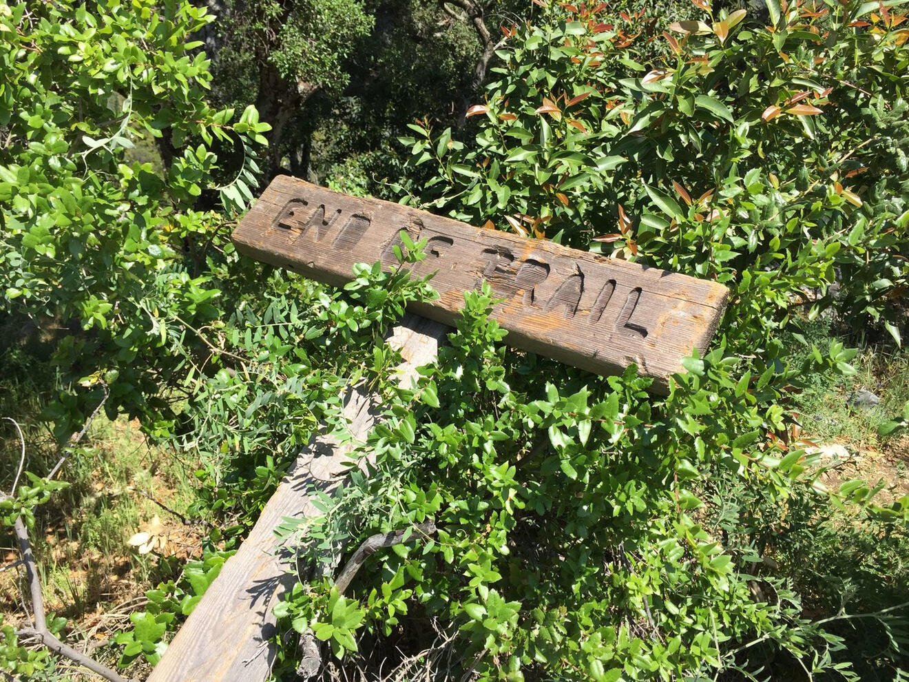 End of Trail, Big Sur, California